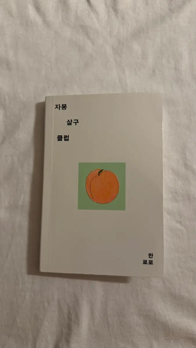 < 자몽 살구 클럽 > 한로로