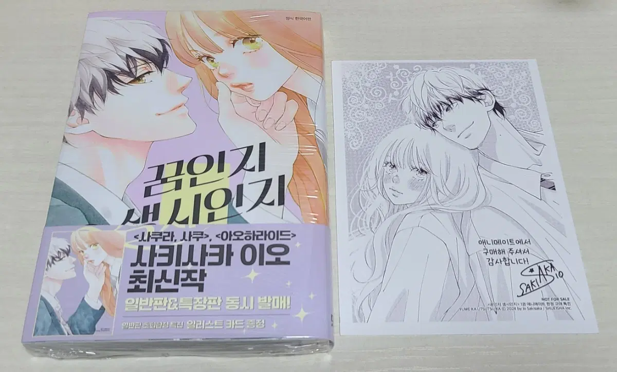 꿈인지 생시인지 애니메이트 특전