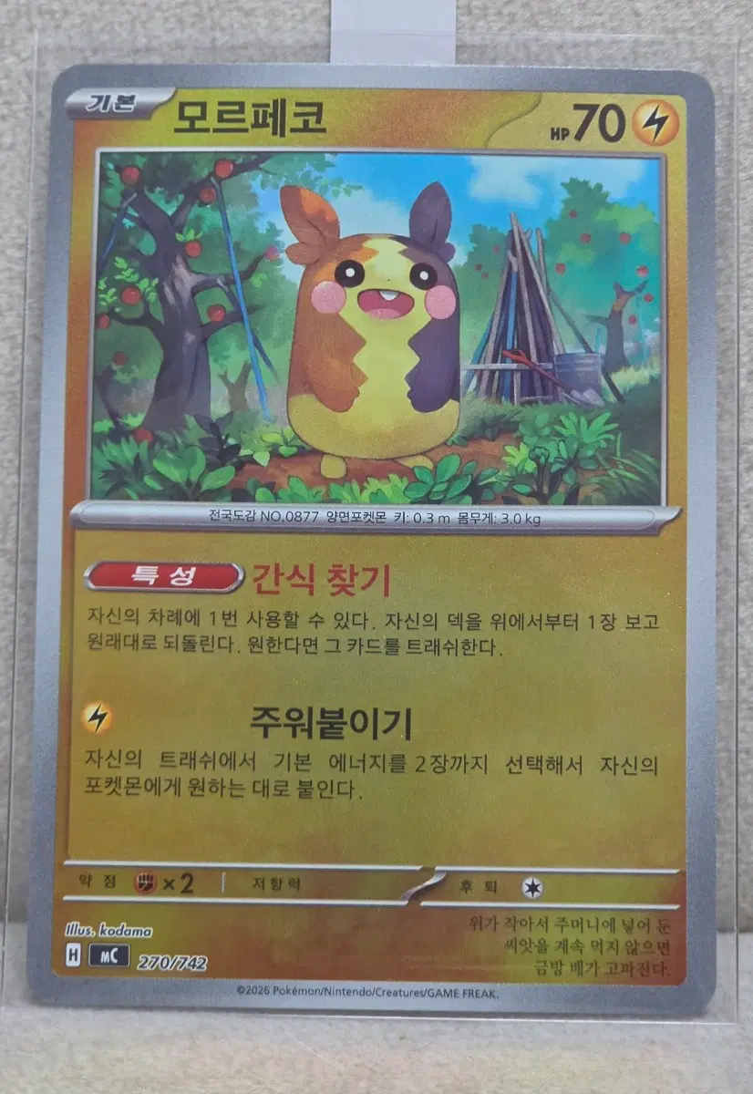 포켓몬카드 100덱 모르페코 미러홀로