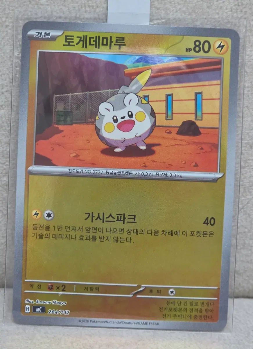 포켓몬카드 100덱 토게데마루 미러홀로