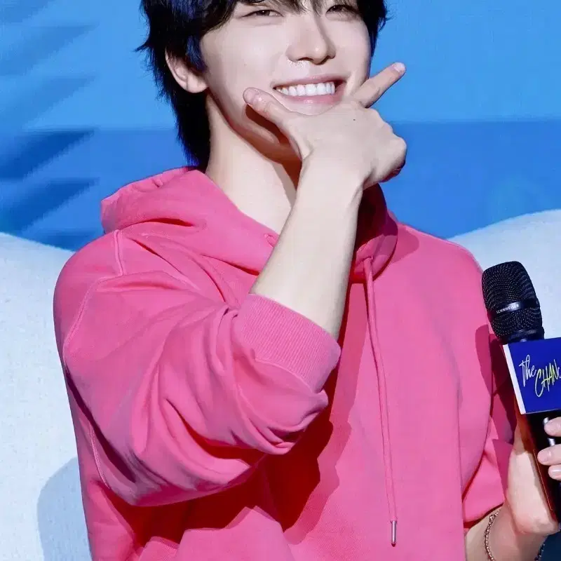 세븐틴 디노 인형 멍멍찬 5센 삽니다