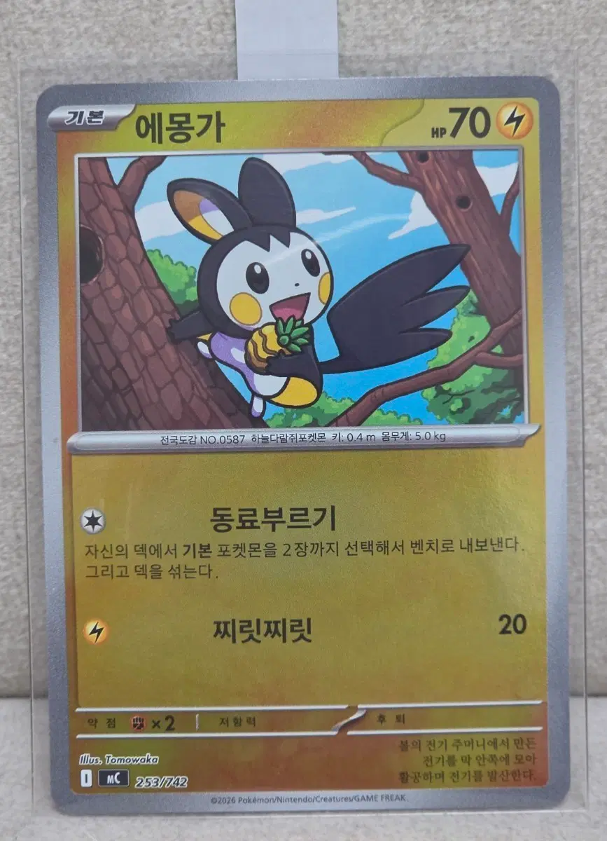 포켓몬카드 100덱 에몽가 미러홀로