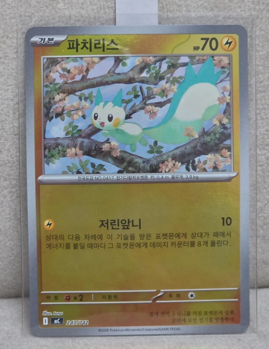 포켓몬카드 100덱 파치리스 미러홀로