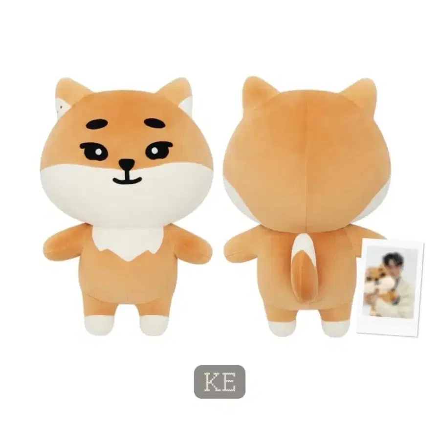 자이언트 데니멀즈 포카 포함 판매합니다