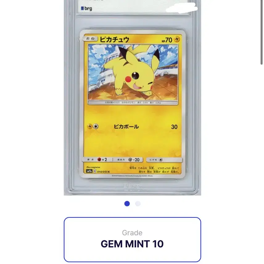 포켓몬카드 피카츄 나이트 유니슨 BRG 10