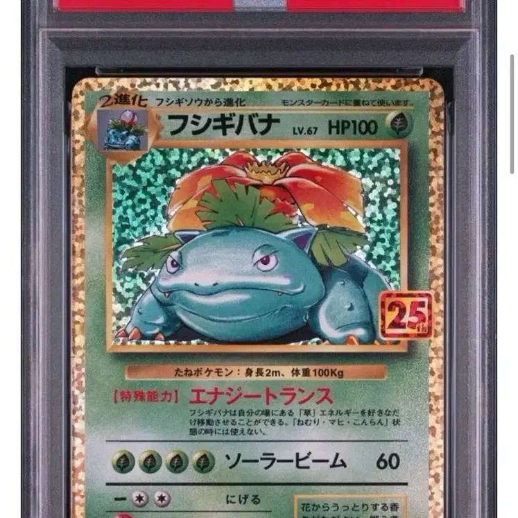 포켓몬 25주년 초판일러스트 이상해꽃 PSA 10