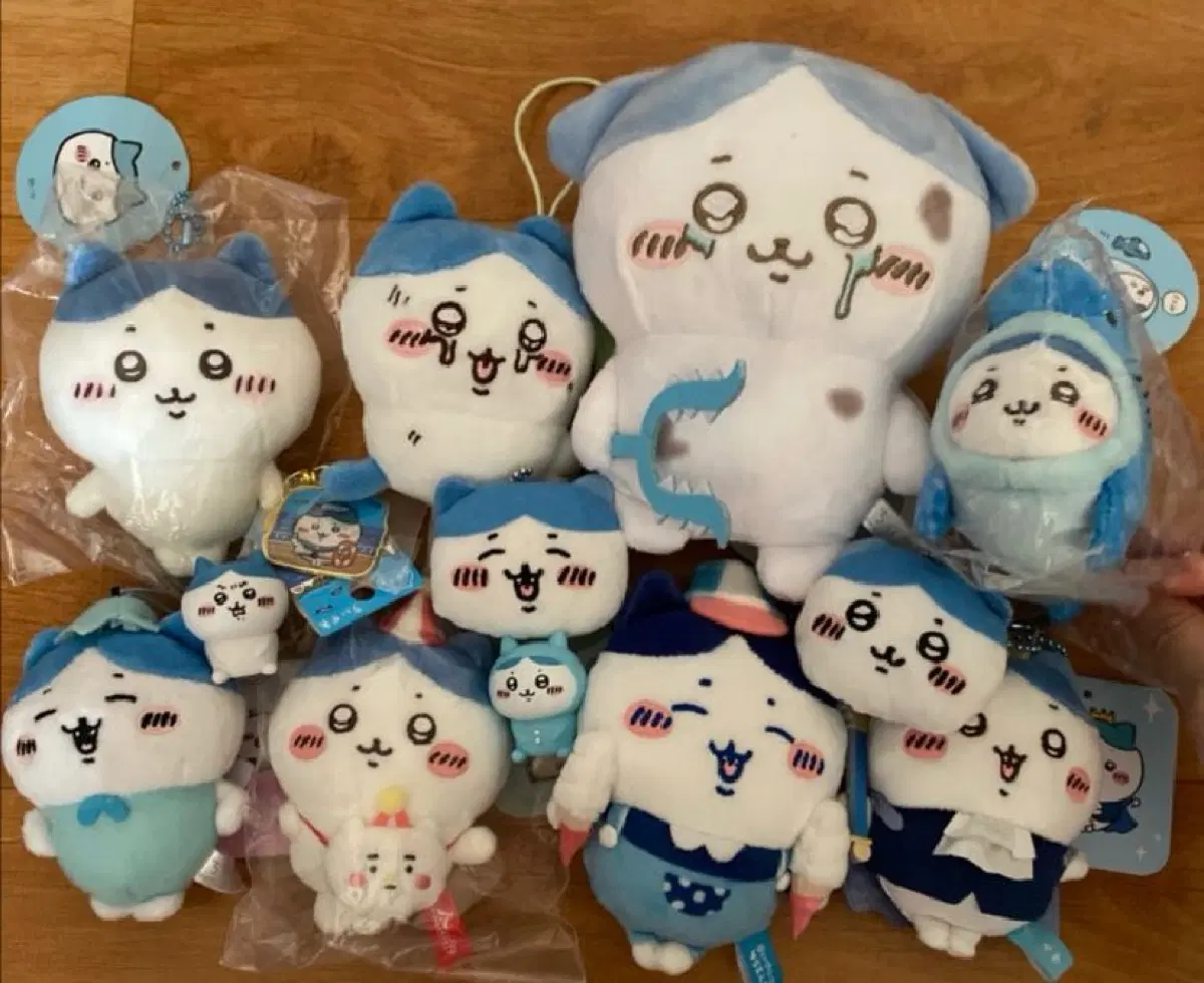 치이카와 하치와레 일괄 정리