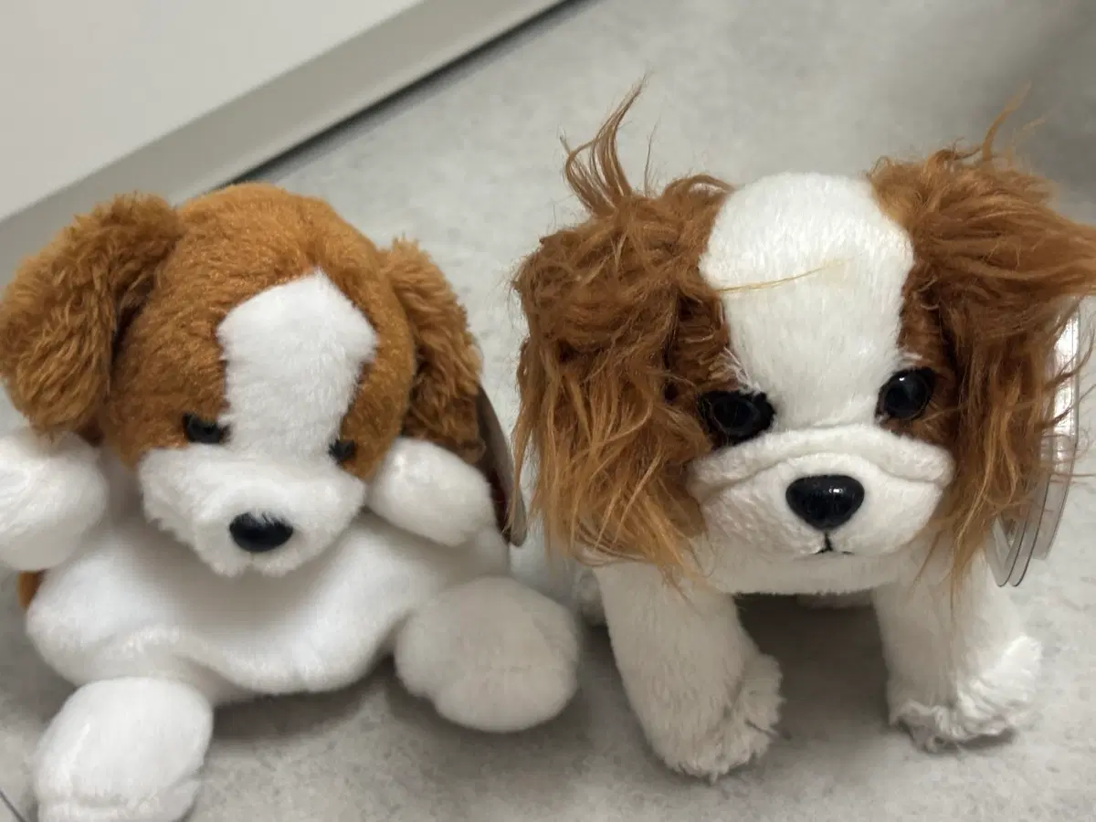 강아지 인형