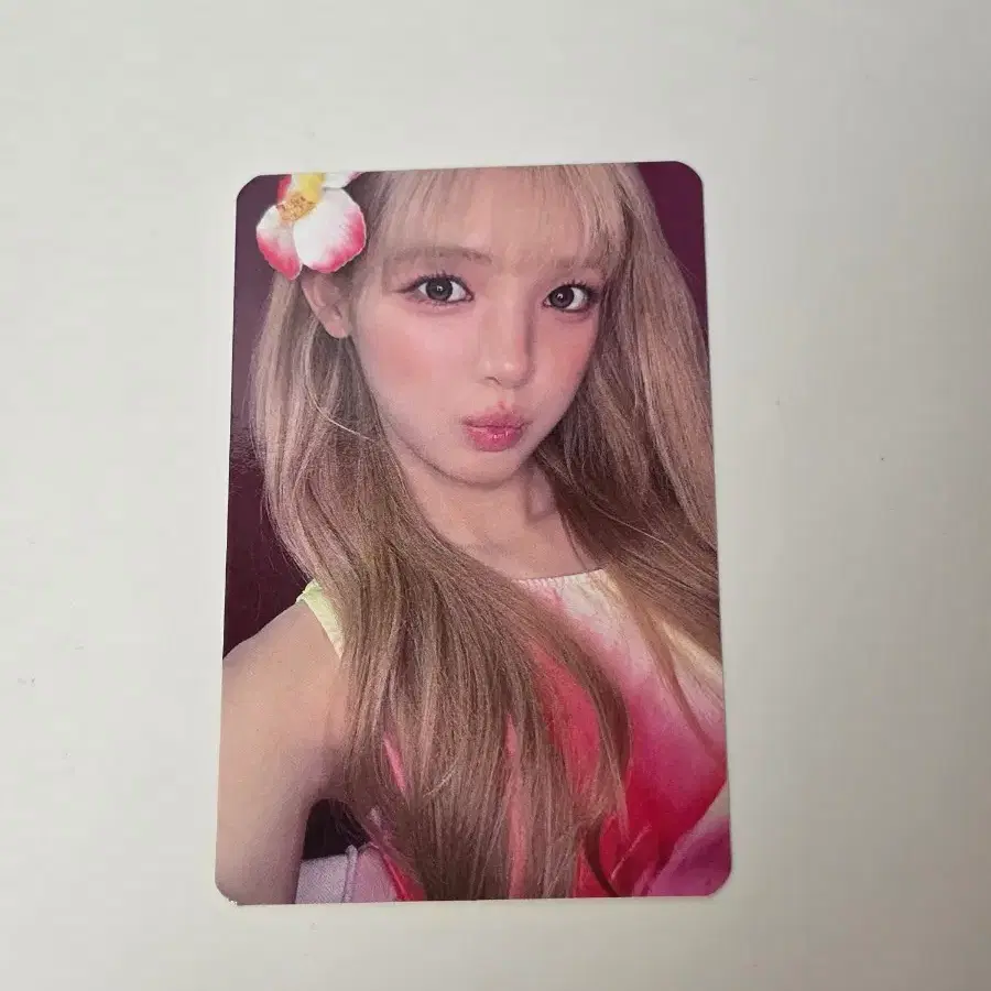 하츠투하츠 하투하 레몬탱 유하 인터아시아 포카 럭키드로우 럭드