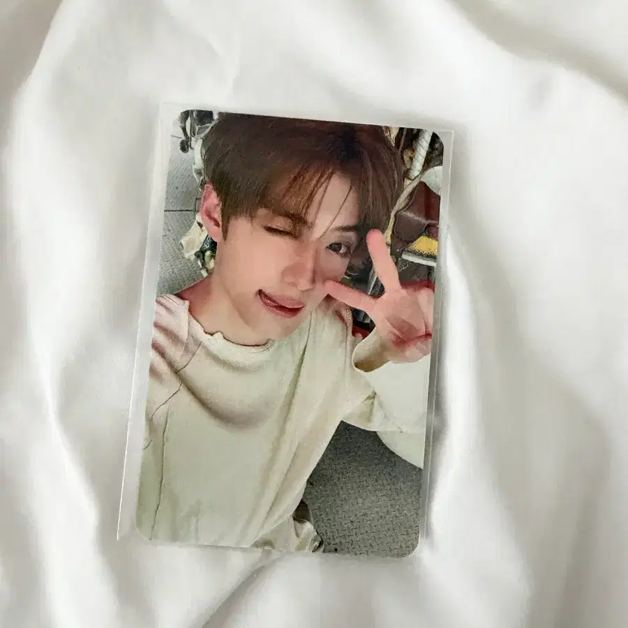 알디원 팝업 포스트카드 앨범 미공포 포토카드 포카
