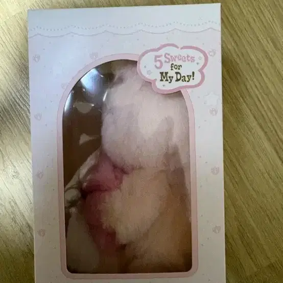 데이식스 데니멀즈 보이스키링 - 필 양도