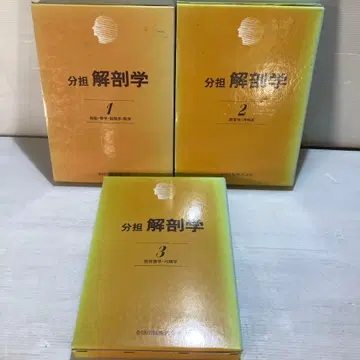 분담 해부학 1, 2, 3