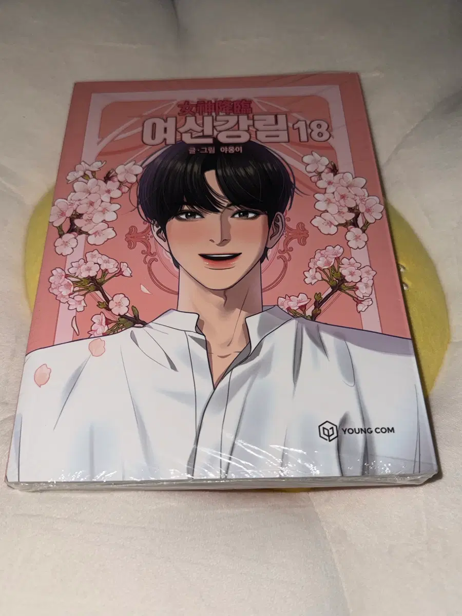 웹툰 여신강림 18권 초판 단행본 (새상품, 새책)