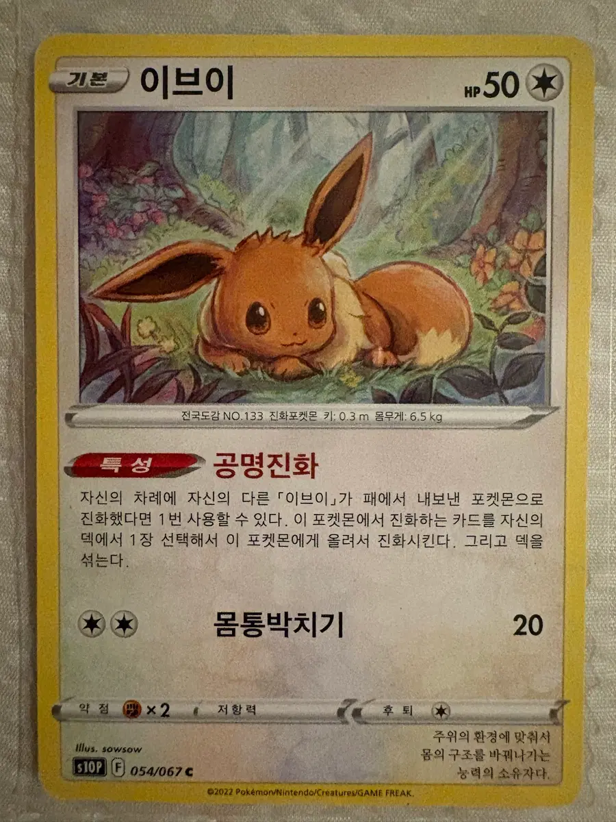 이브이 S10P 054/067 C