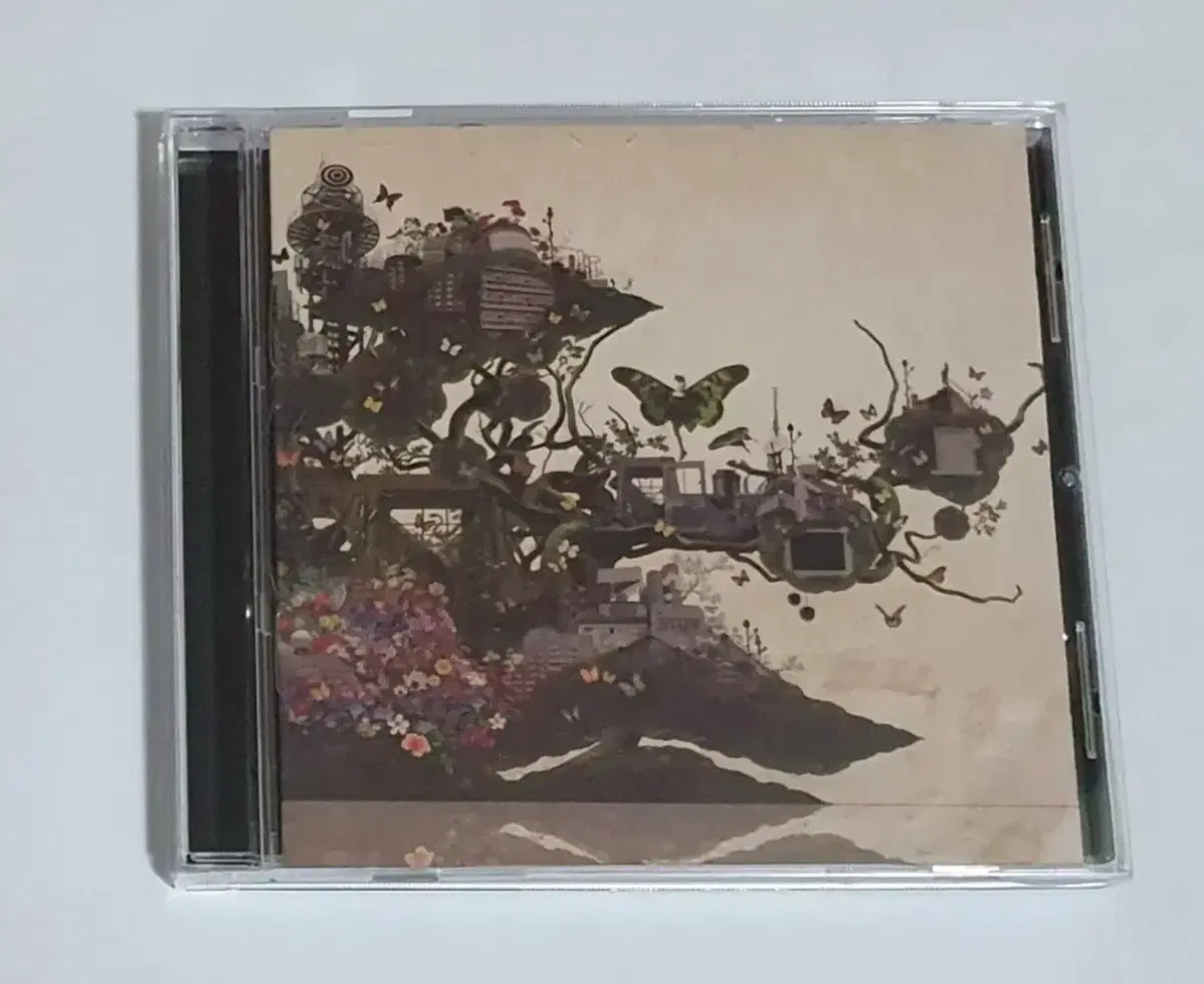 짙은 짙은 앨범 시디 CD
