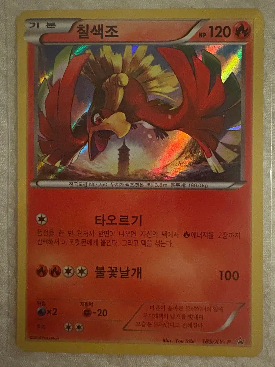 칠색조 185/XY-P 프로모