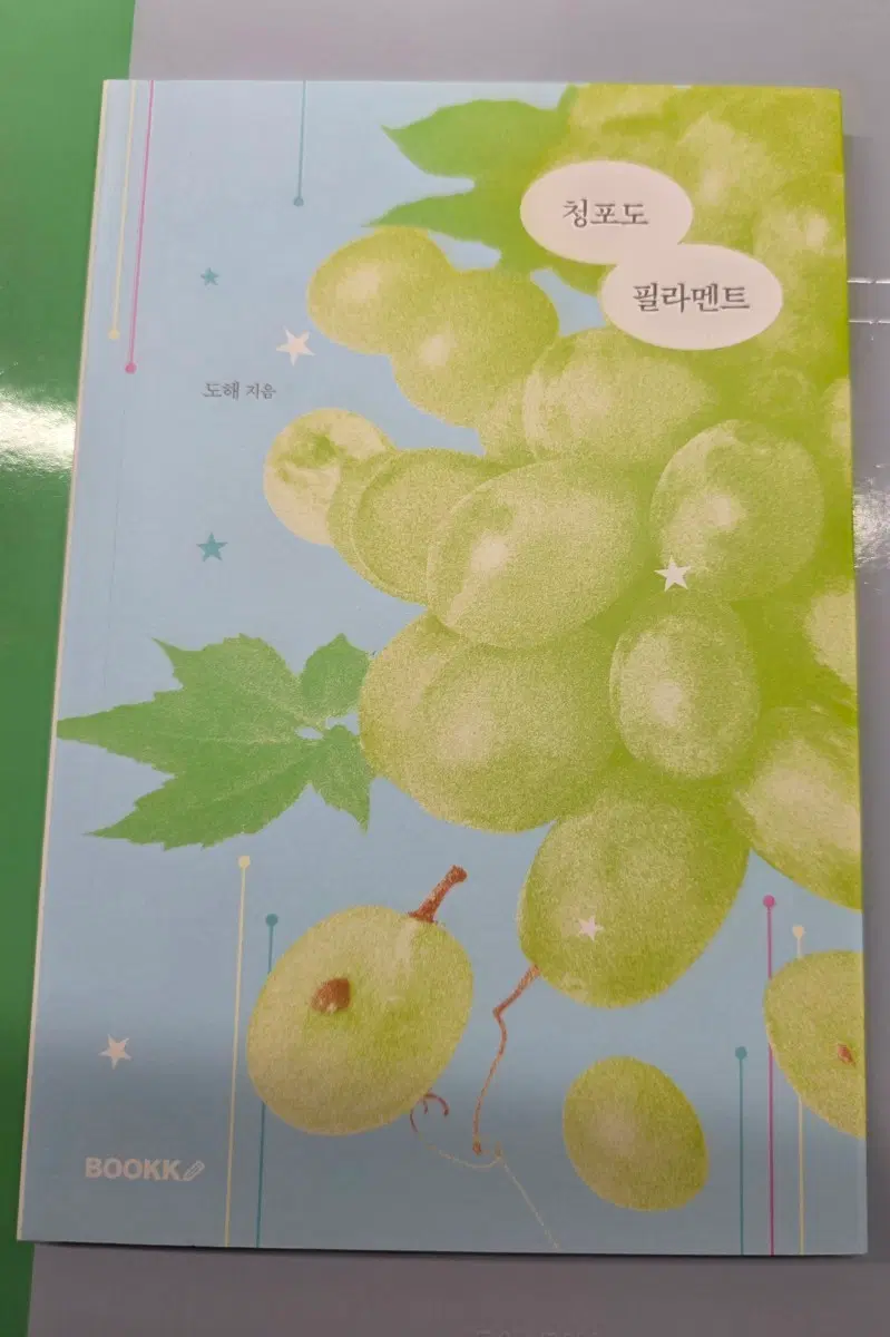(교환)청포도 필라멘트 도해 시집