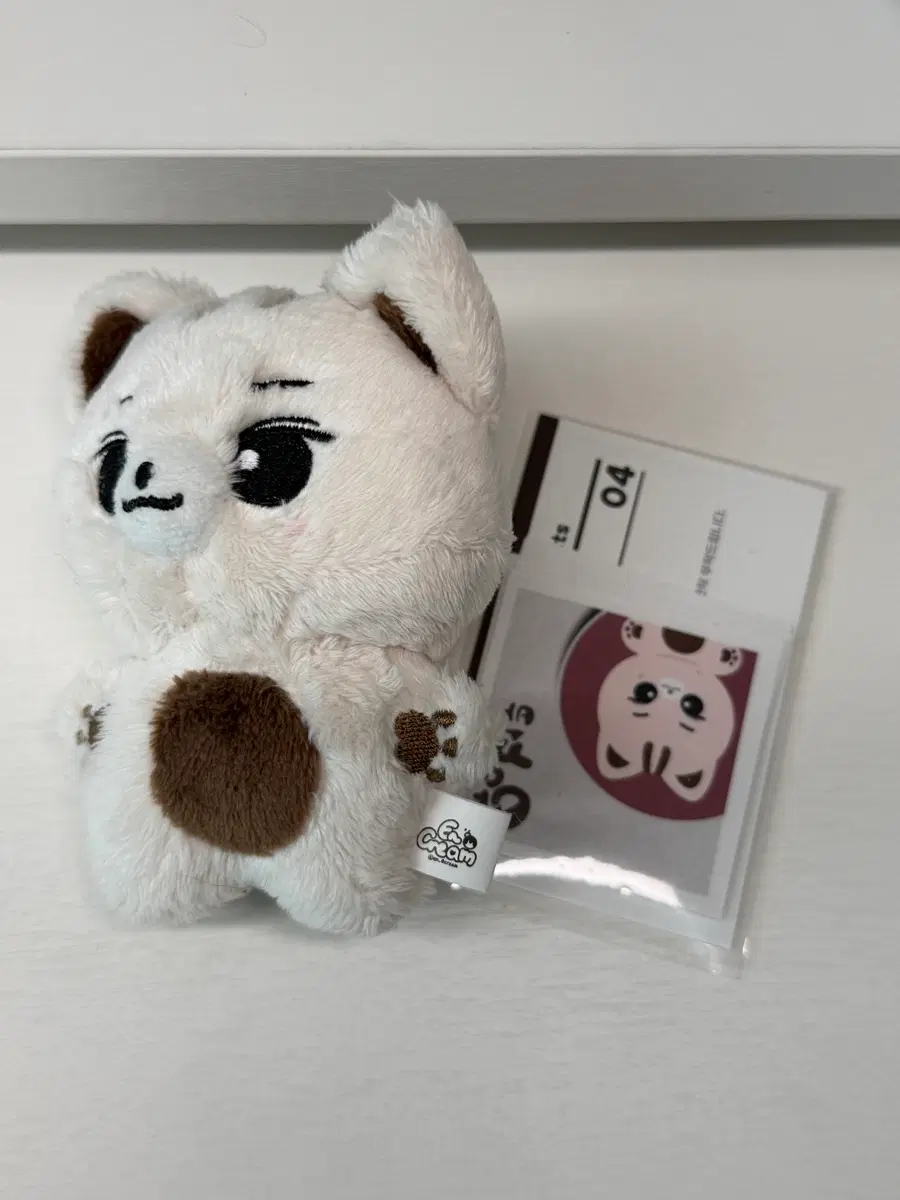 엔하이픈 정원 인형 양꼬미 양도 양정원제이제이크성훈선우니키