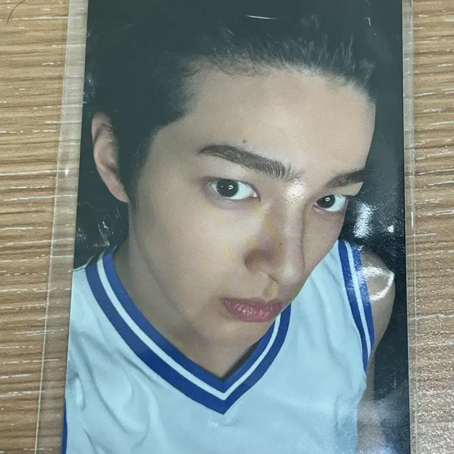 에버라인 건호 럭드 포카 코르티스 그린그린
