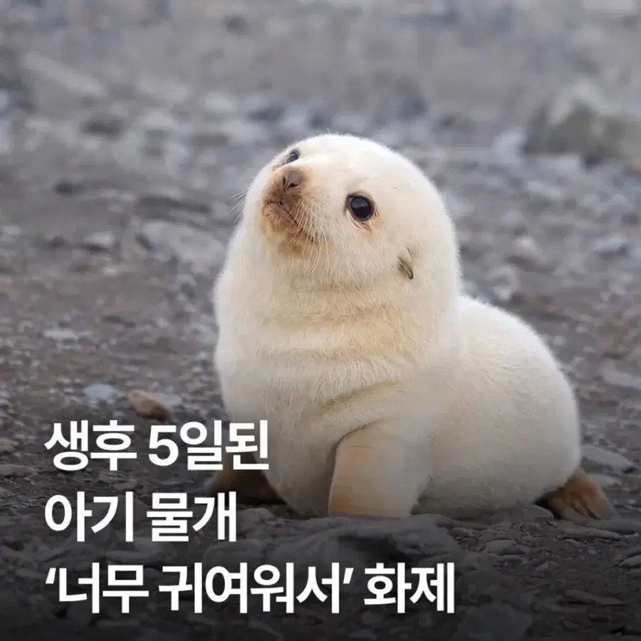 배송예약