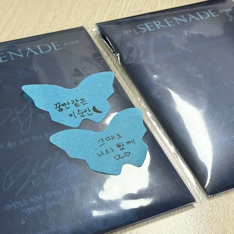 세븐틴 도겸 승관 SERENADE 소야곡 시티 티켓 대구