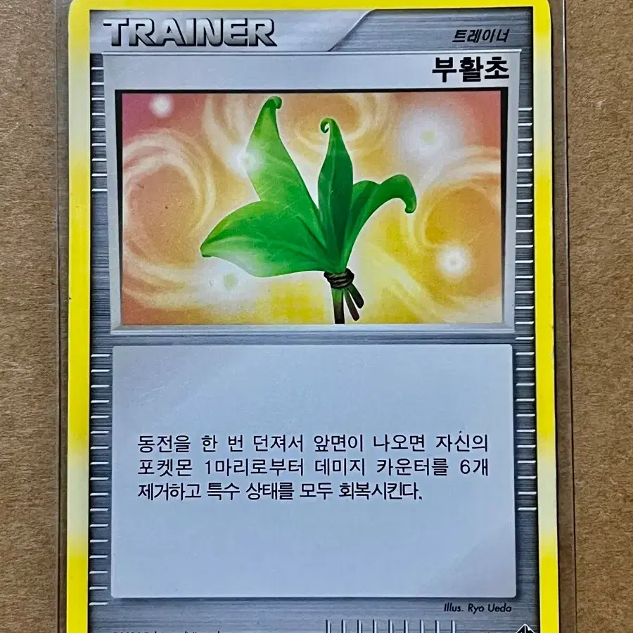 [포켓몬 카드] 부활초 (54/60)