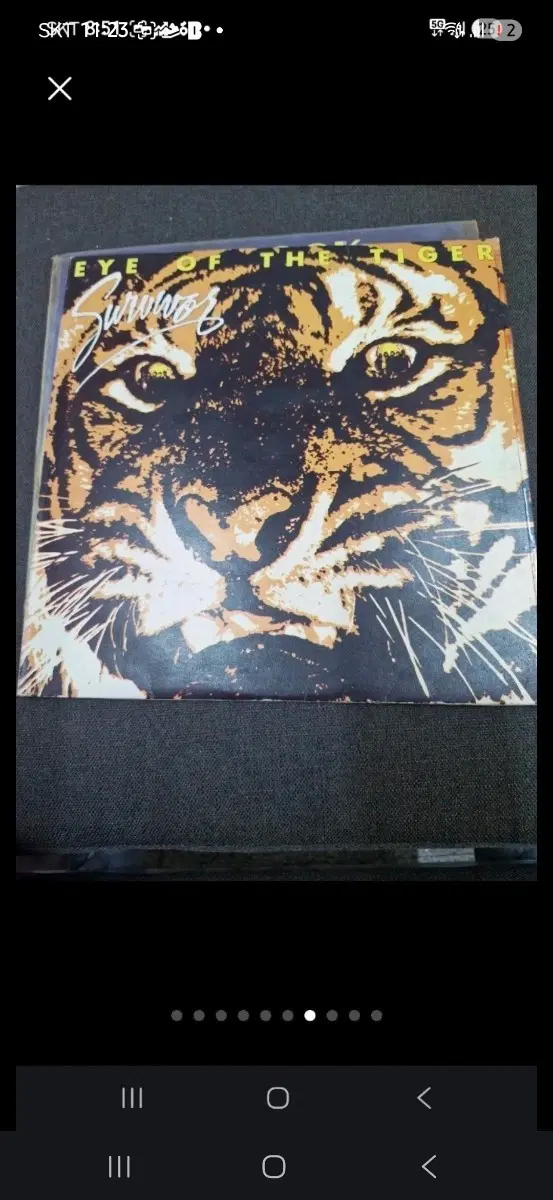 서바이버 Eye of the Tiger lp