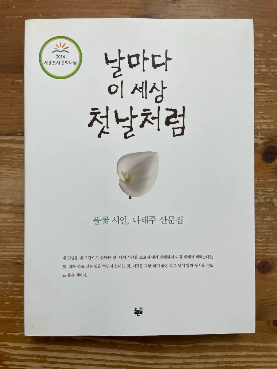 날마다 이 세상 첫날처럼 : 나태주 산문집
