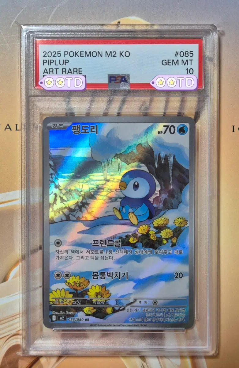 PSA10 포켓몬카드 등급카드 한글판 2025 팽도리 AR