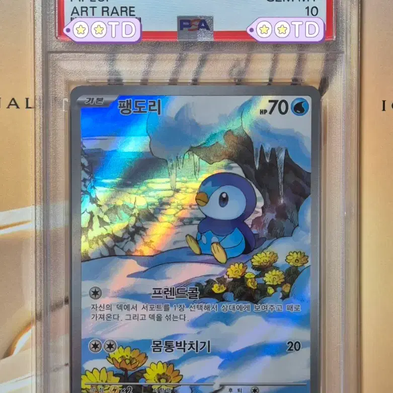 PSA10 포켓몬카드 등급카드 한글판 2025 팽도리 AR