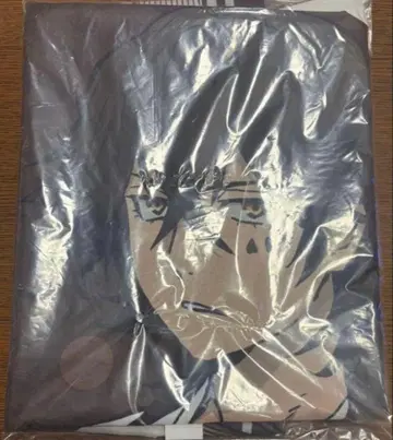 문호 스트레이독스 극락탕 X 캠페인 당선 노보리 스에히로 텟초