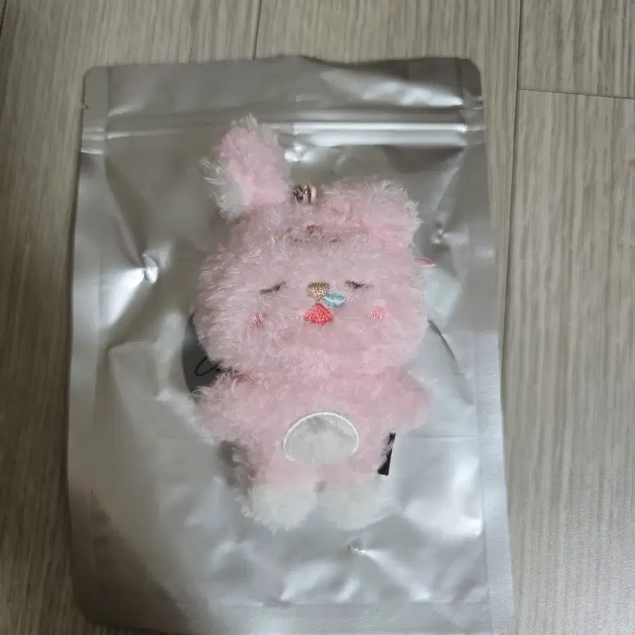 데이식스 원필 언필터드 시크릿 데니멀즈 키링 쿨쿨필