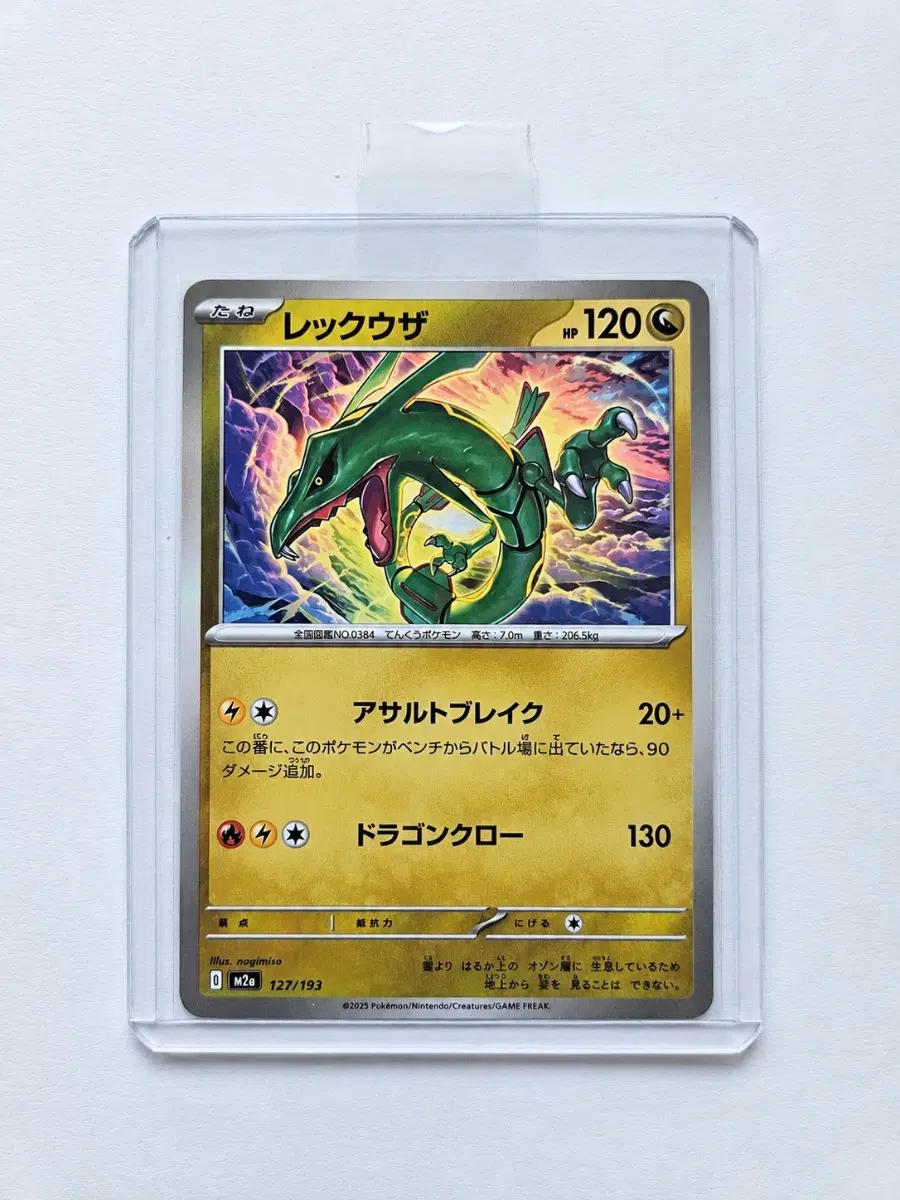 포켓몬 TCG 레쿠쟈 메가 드림 ex (일어판)