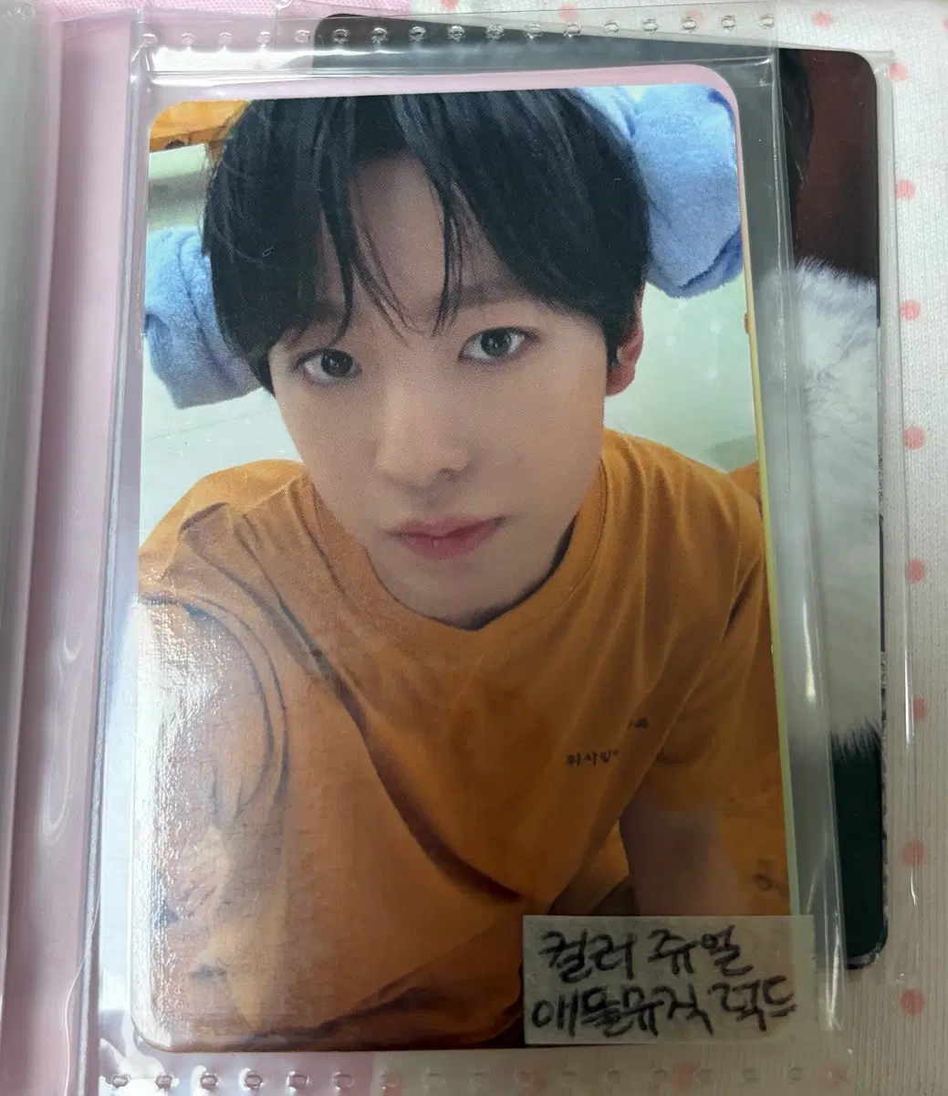 엔시티 위시 유우시 애플뮤직 럭드 포토카드 포카