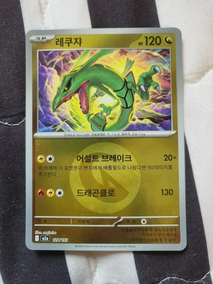 레쿠쟈 에너지볼 홀로