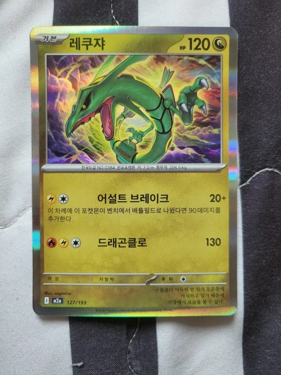 레쿠쟈 홀로