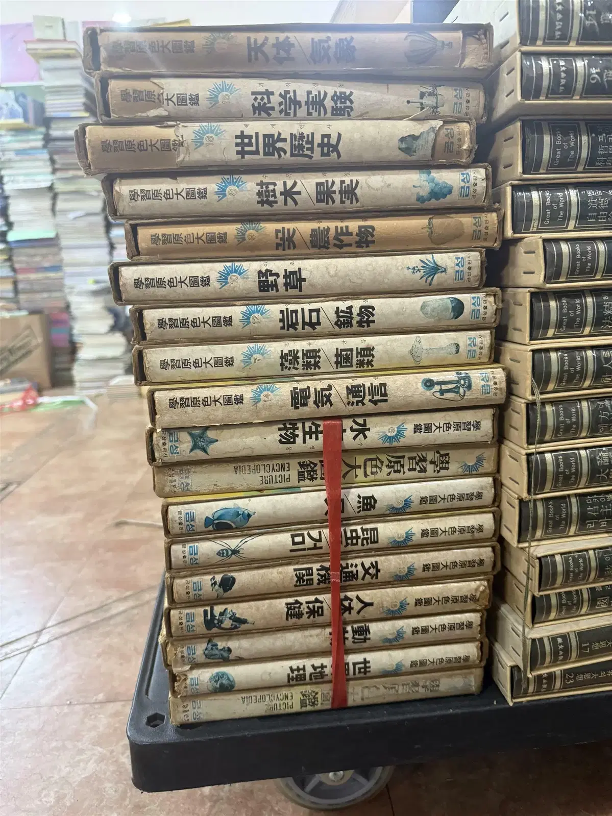 학습원색대도감 금성출판사 18권 세트 백과사전 중고책