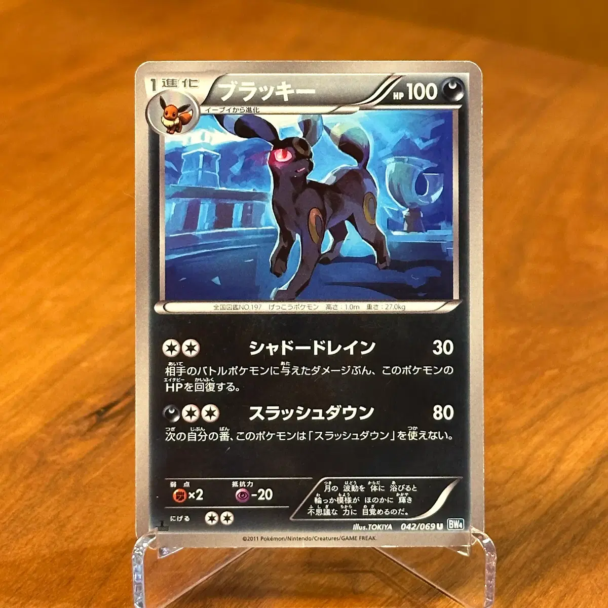(일판) 1st Edition 초판 포켓몬카드 블래키 (빈티지 카드) BW4 042/069