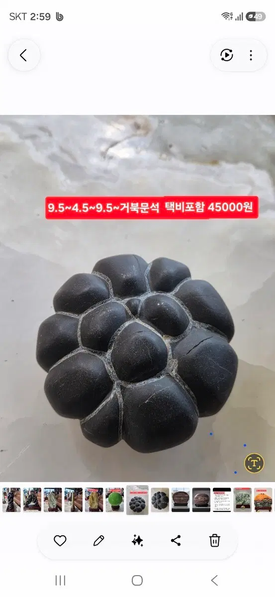 거북문석 9.5x4.5x9.5cm 택포 45000원