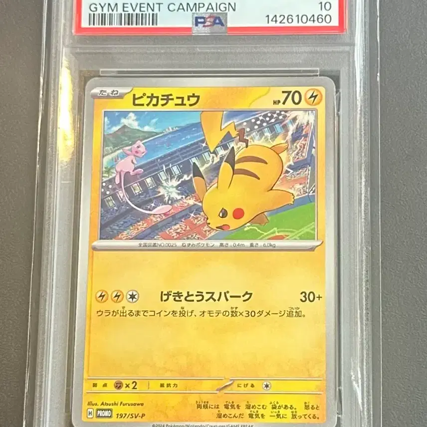 포켓몬카드 피카츄프로모 197/SV-P 2024 짐 이벤트 캠페인 PSA 10
