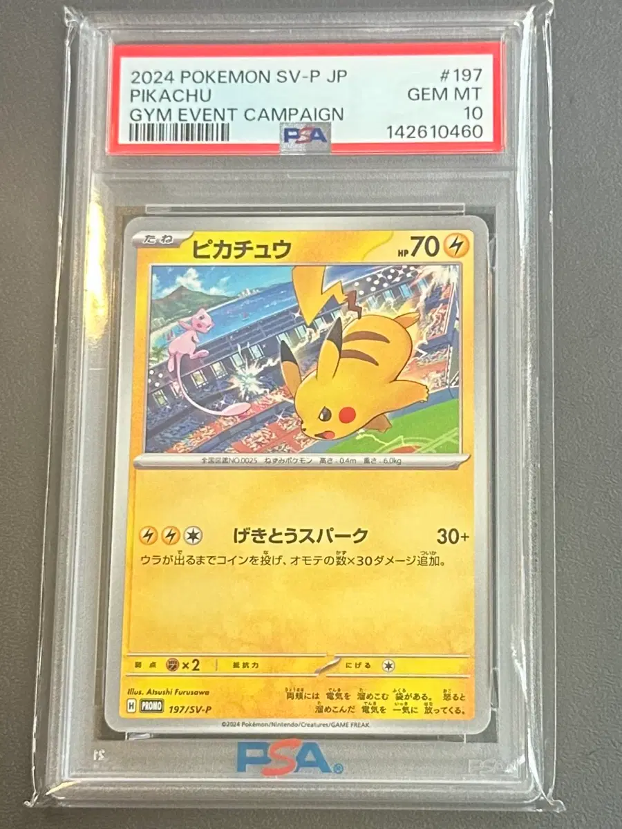 포켓몬카드 피카츄프로모 197/SV-P 2024 짐 이벤트 캠페인 PSA 10