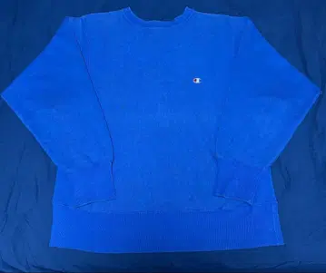 Champion 리버스 위브 트리코 80s