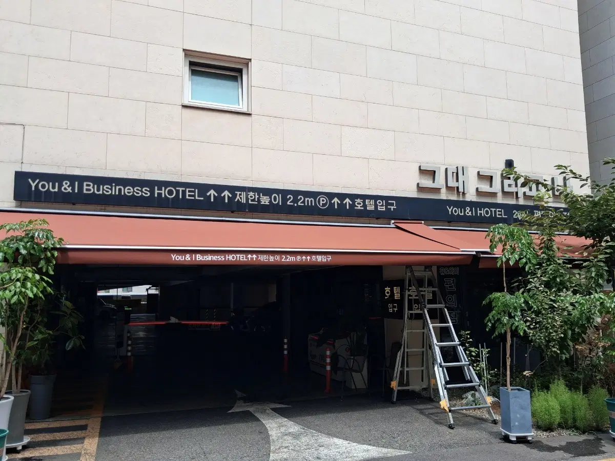어닝윈단세척
