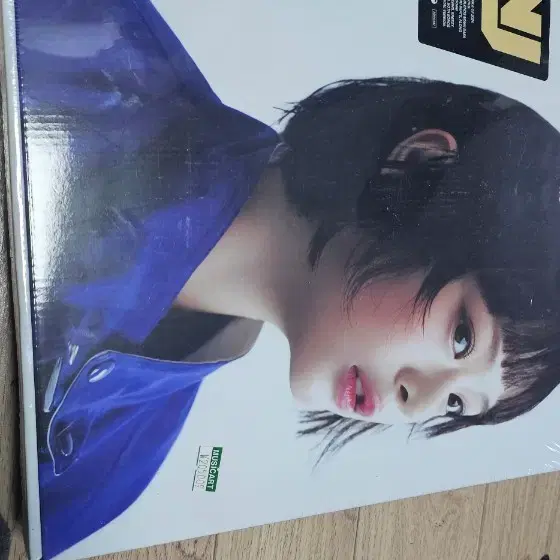 뉴진스 하니