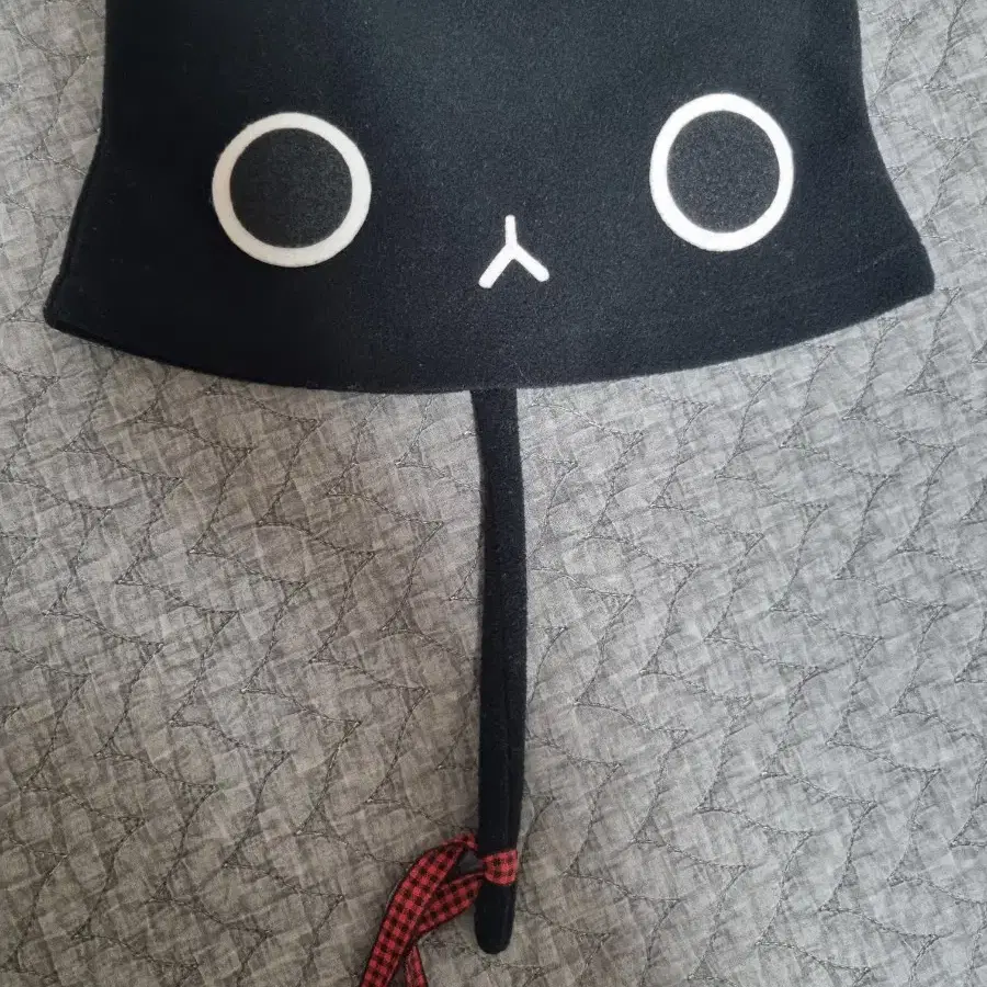 고양이 모자
