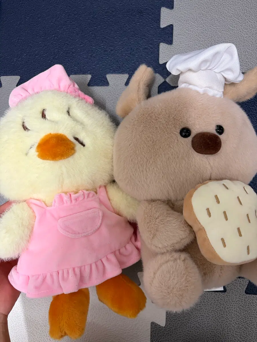일괄) 오리, 곰돌이 커플인형