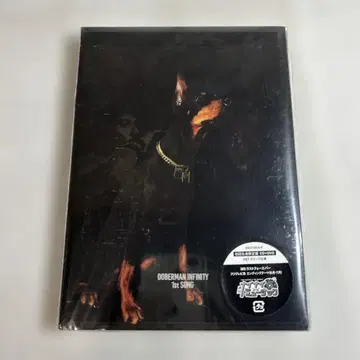 DOBERMAN INFINITY 1st SONG 초회 생산 한정판 CD+DVD