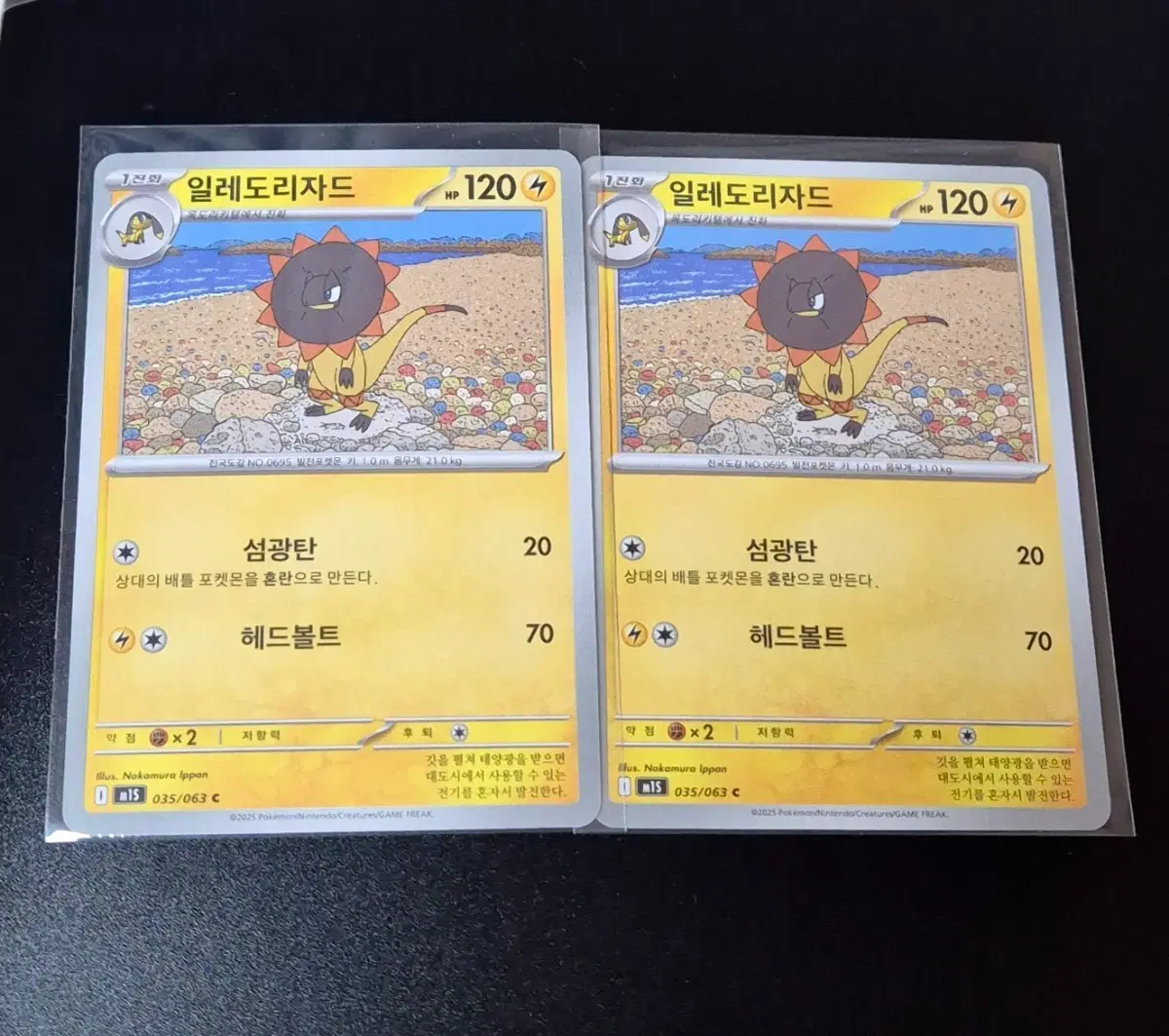 일괄) 포켓몬 카드 일레도리자드 2장 일괄