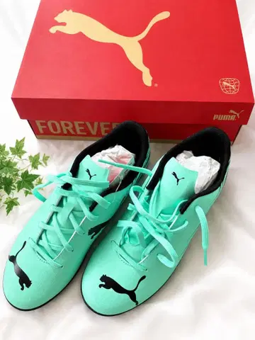 PUMA 축구 트레이닝 슈즈