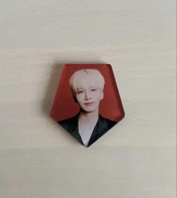 SEVENTEEN POWER OF LOVE 럭키 드로우 마그넷 정한